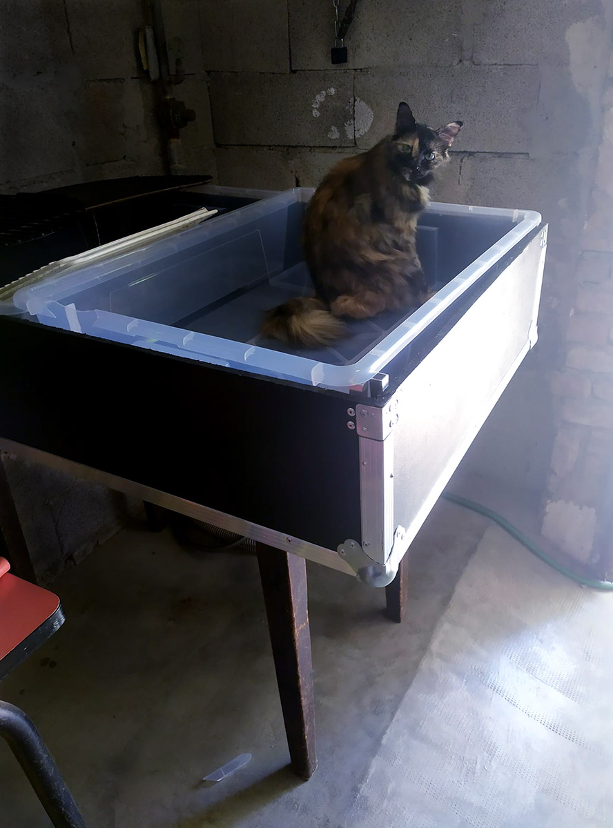 201907_LaPounche_Naika_bain_cyano_002_M La Pounche Naika bain cyano